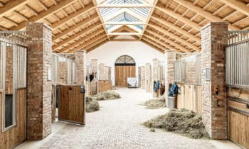 Gerecupereerde gevelstenen met unieke en karaktervolle uitstraling 4