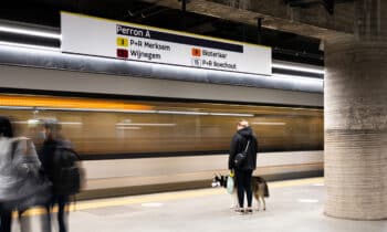 Creativiteit op iedere schaal 4