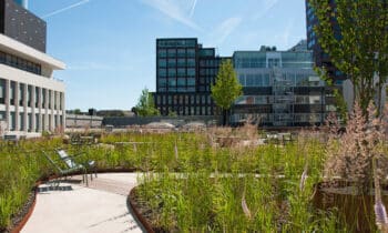 “Slimme retentiedaken zijn de daktuinen van de toekomst” 5