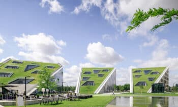 Dak en gevel als esthetische en ecologische groenbeleving 4