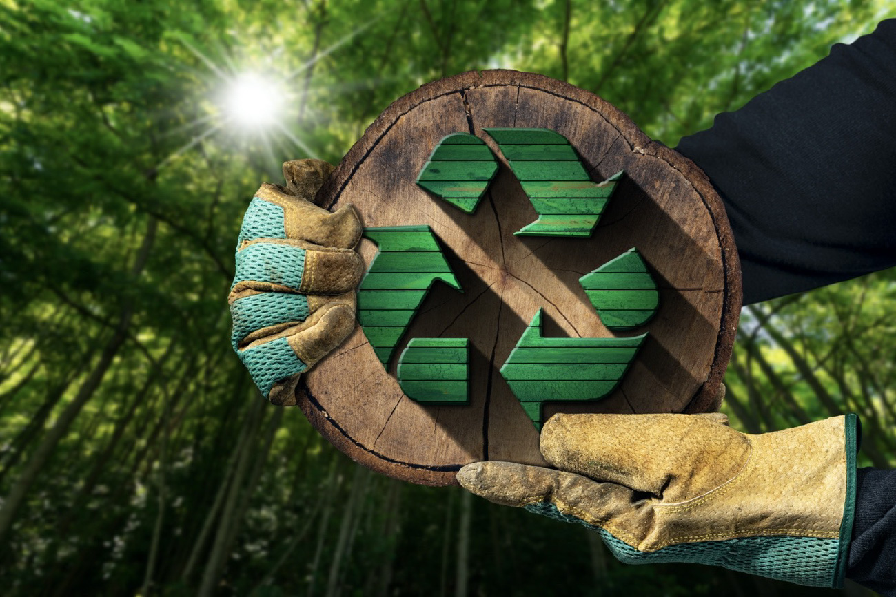 slachtoffer Naar behoren springen Vijf duurzame houtsoorten die een nieuwe trend gaan vormen