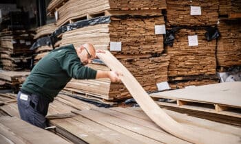 Circulair fineer dat uit het juiste hout gesneden is 10