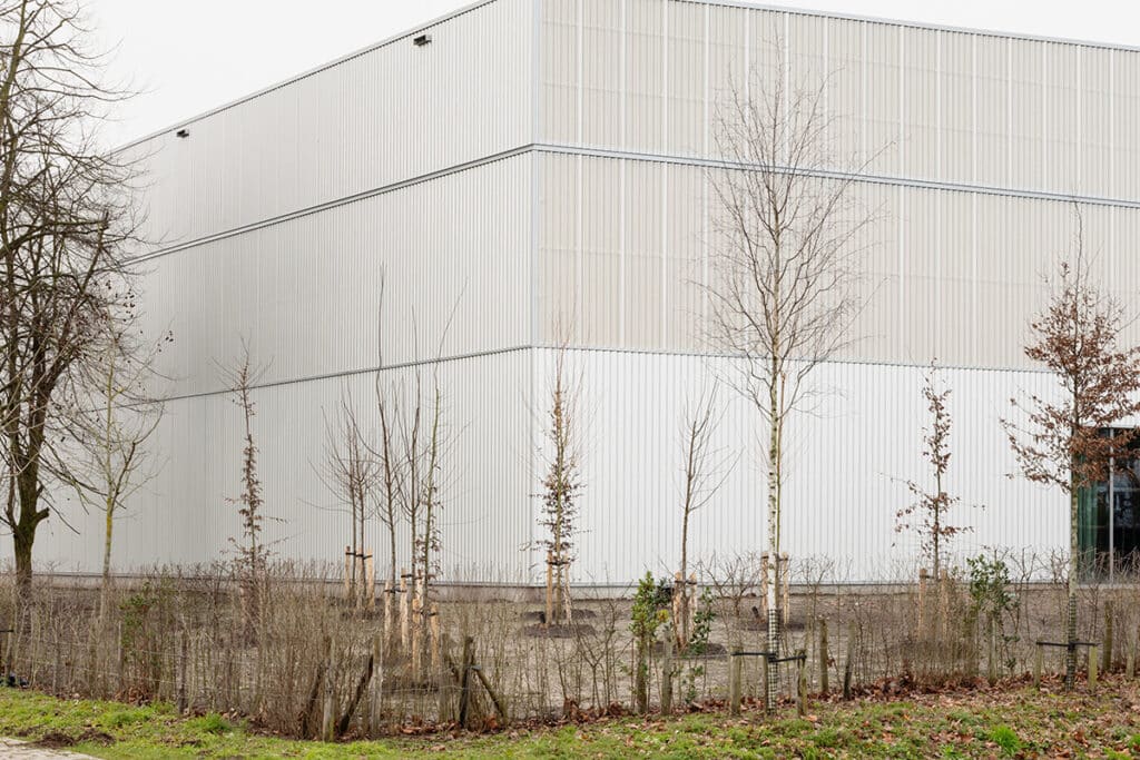 Sportbeleving met groene rand voor scholen en clubs 1