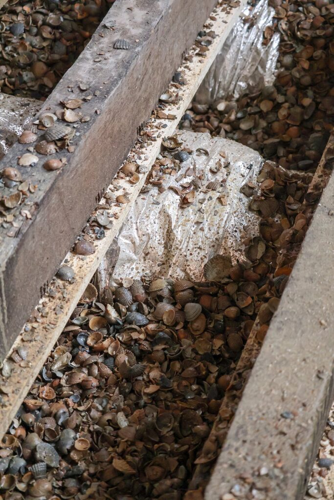 Een totaalaanpak die toekomst, techniek en teamwork verbindt 4