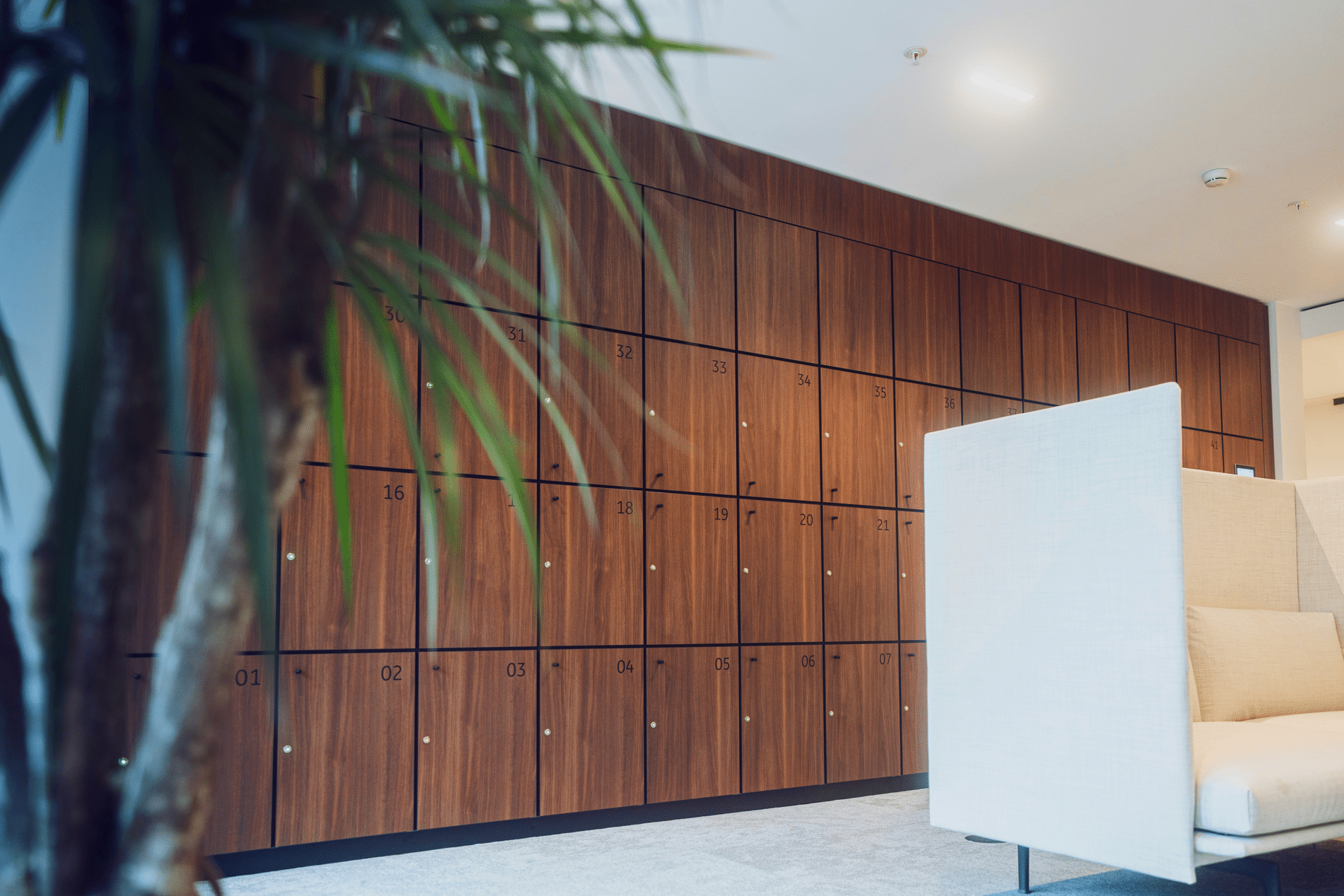 Uniek interieur in ere hersteld dankzij duurzaam en budgetvriendelijk plaatmateriaal 1