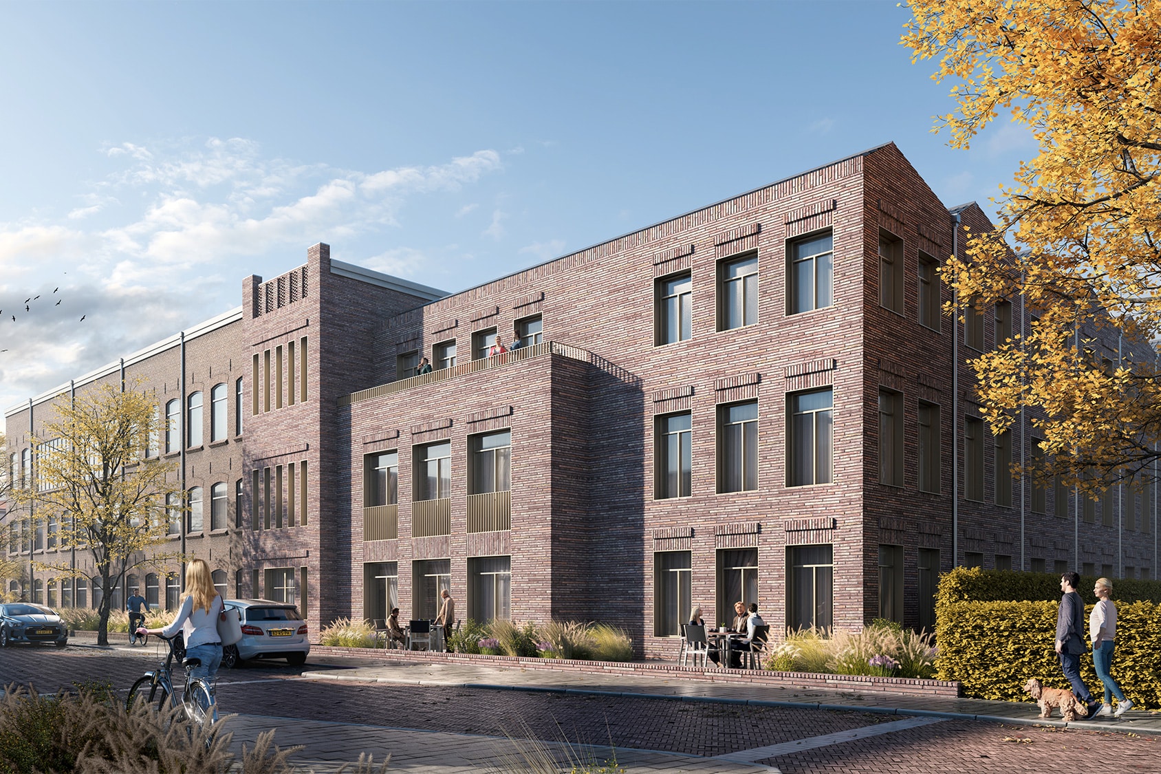 Gebogen ramen voor monumentale transformatie 2