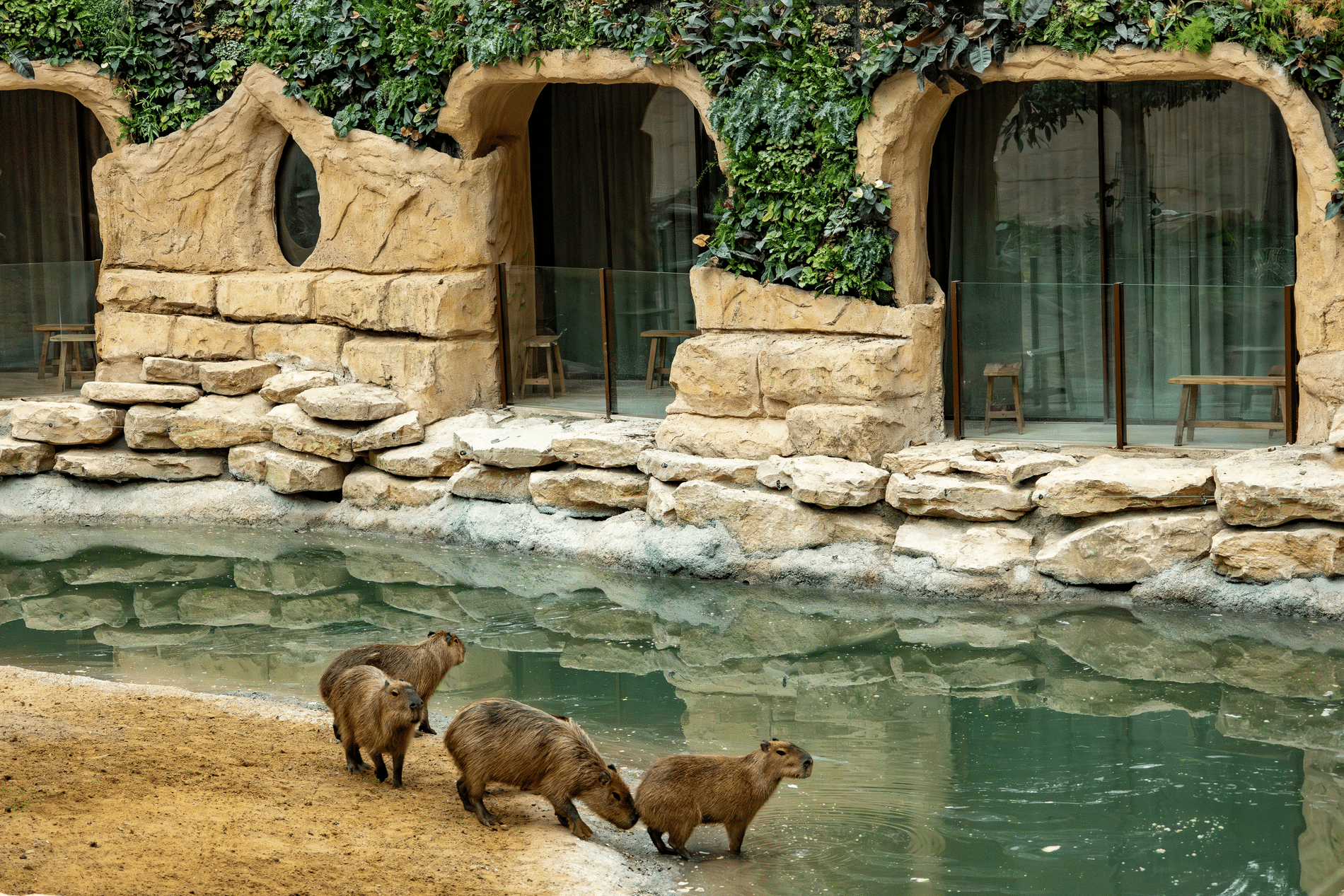 Pairi Daiza pakt uit met grootste tropische serre ter wereld 4