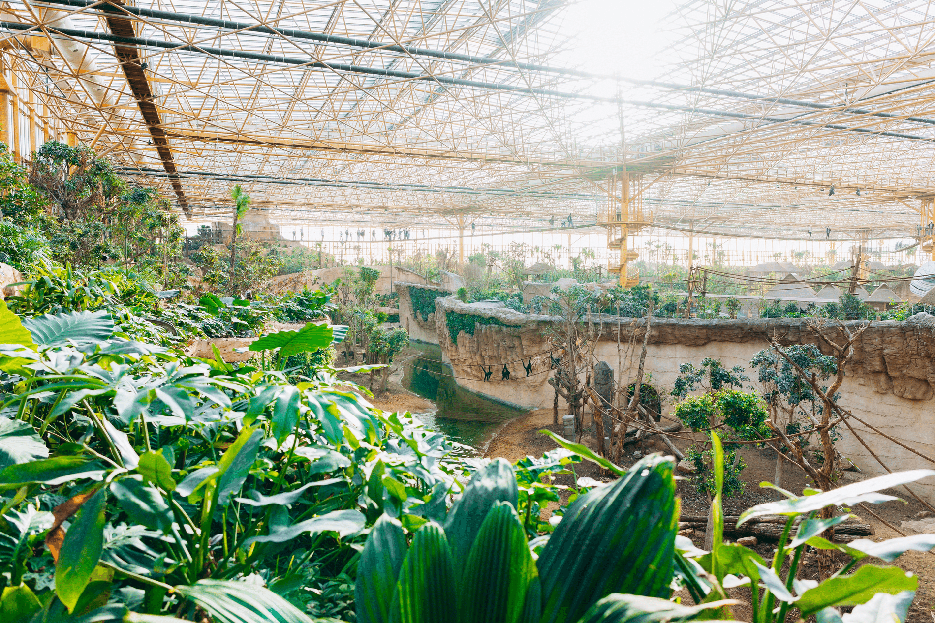 Edenya: atypische en dynamische werf vergt bouwkundige precisie en creativiteit 3