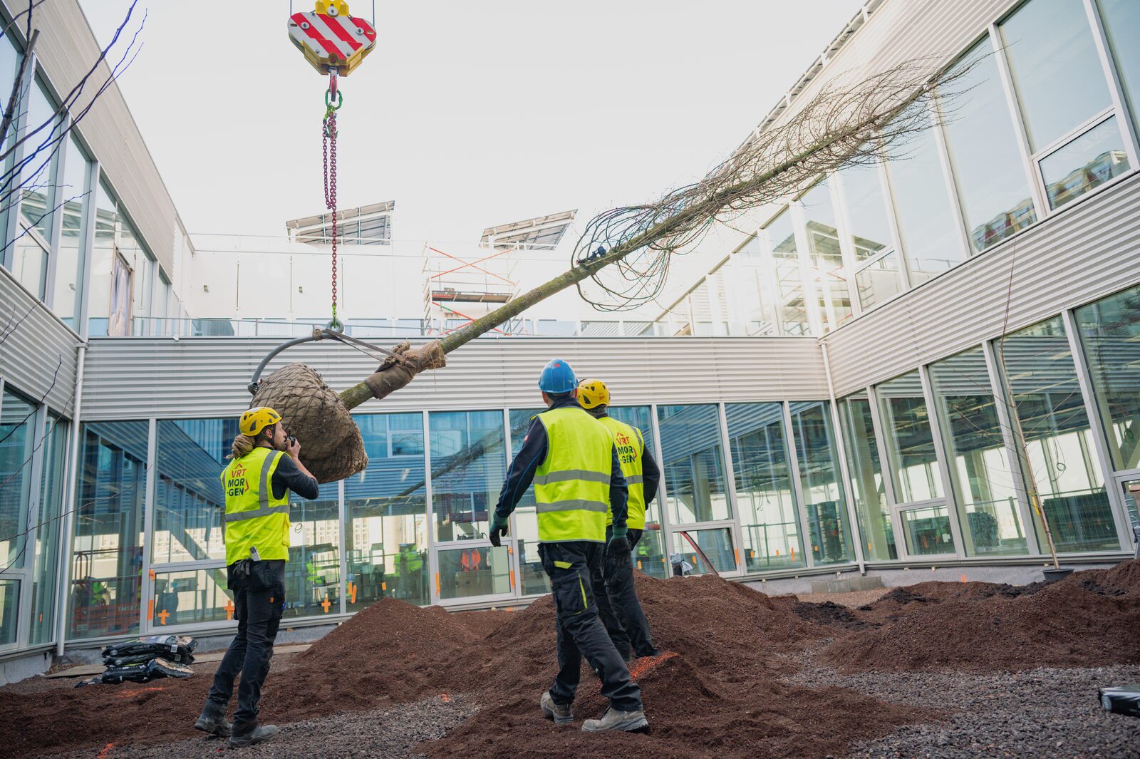 Deskundige groenaanleg doet architectuur en landschap samenvloeien