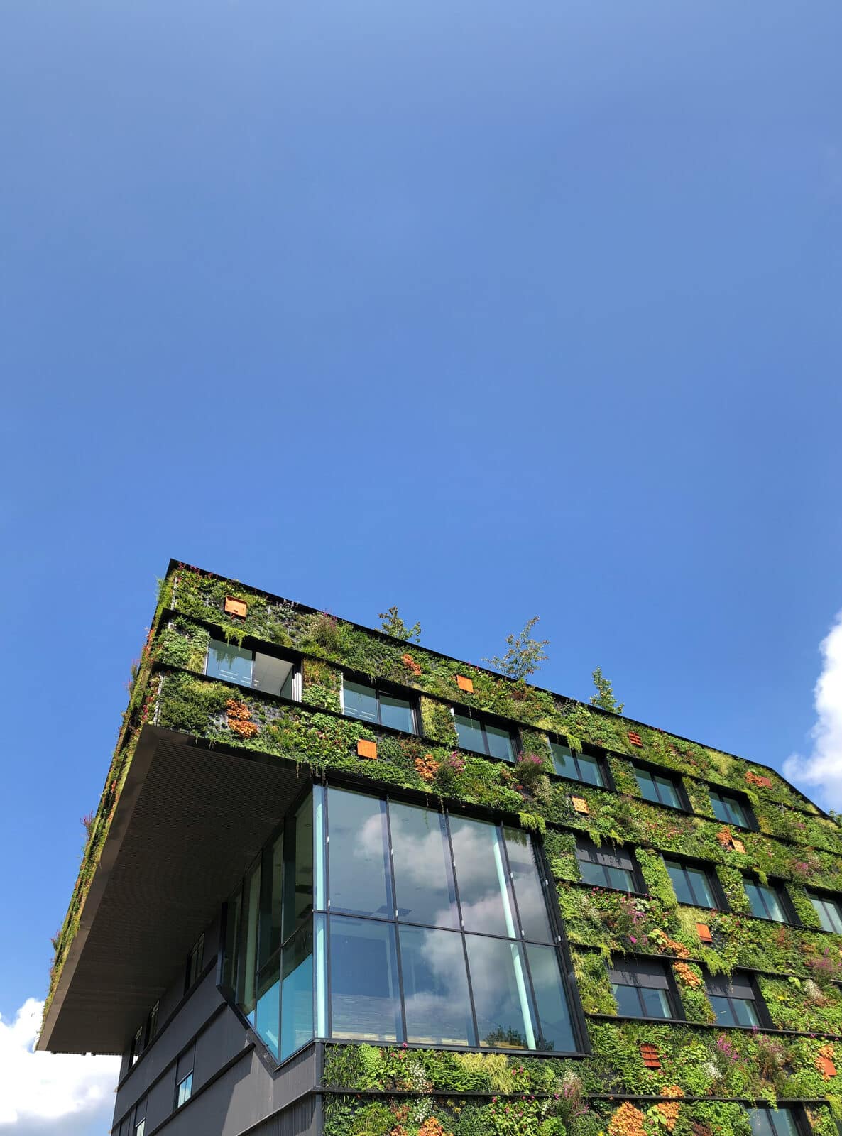 Duurzaam en circulair (ver)bouwen is de enige weg vooruit 1