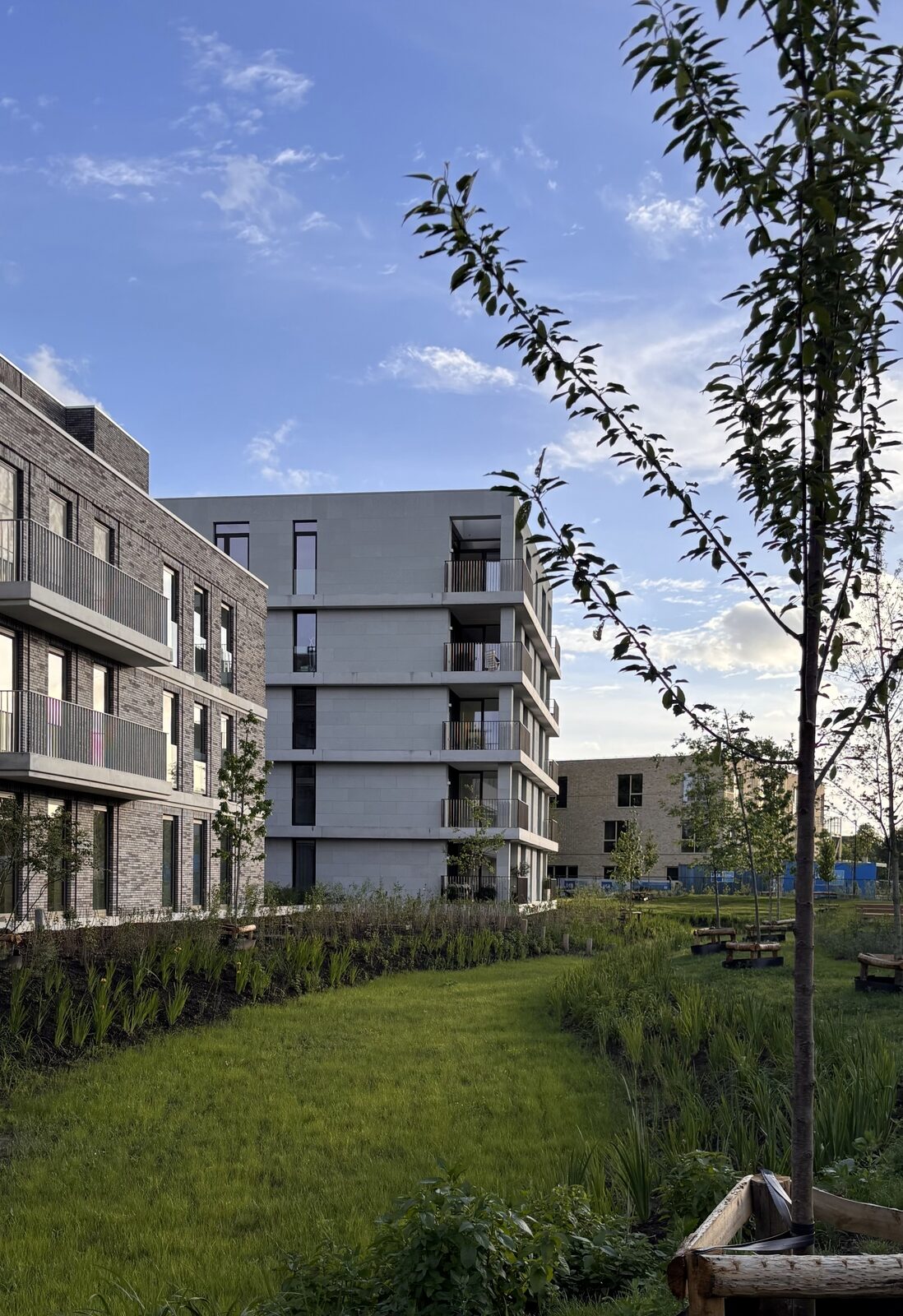 Van fabriekssite tot groene woonwijk: nieuwe impuls voor dorpskern 3